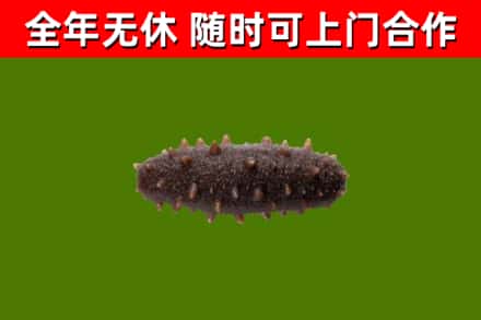 西宁烟酒回收干海参.jpg